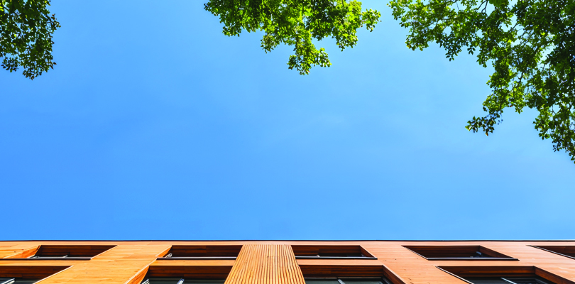 Construction des immeubles en matériaux biosourcés et combustibles