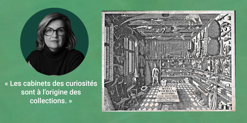 Image noir et blanc représentant des cabinets de curiosités